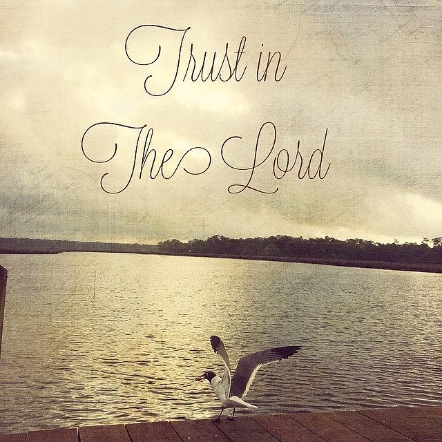 Inspirational Photograph - Trust In The Lord #trust #inspirational by Joan McCool