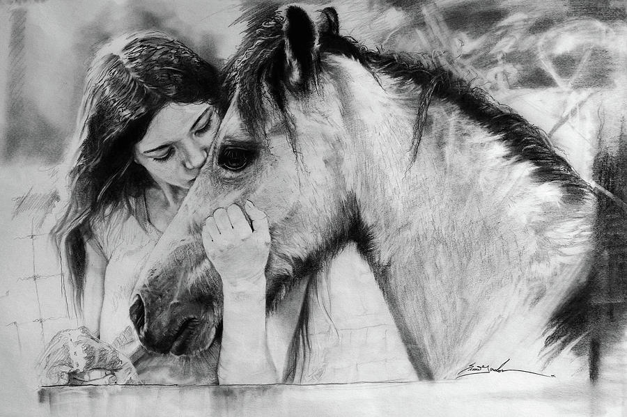Mammal Drawing - Trust-Welsh Pony by Susie Gordon