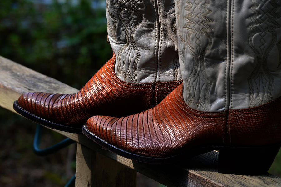 Trusting Lizard Cowboy Boots Photograph by Lesa Fine
