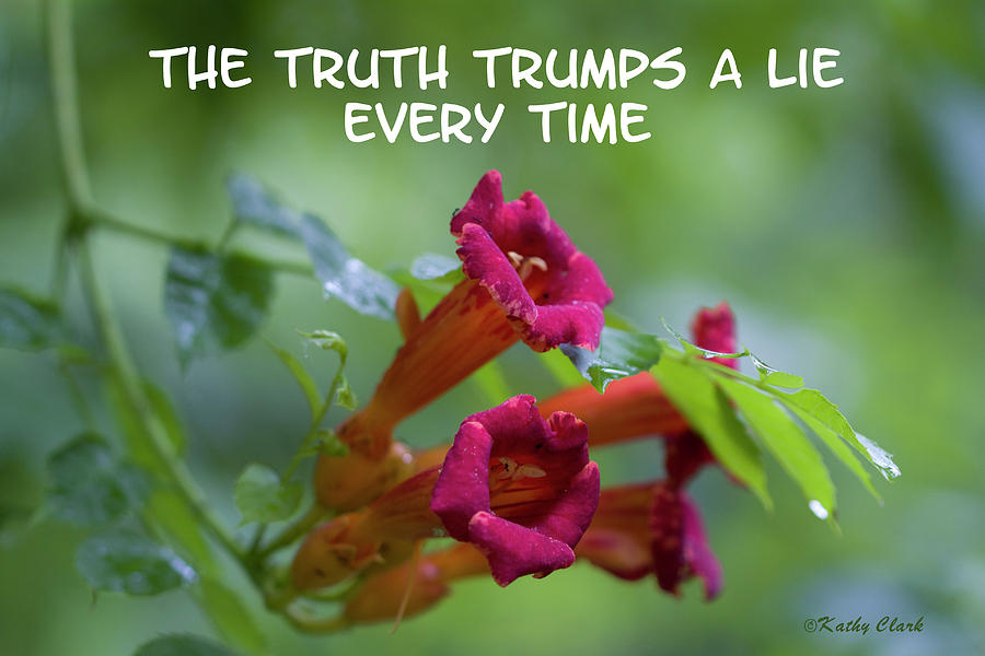 Truth Trumps a Lie Every Time Photograph by Kathy Clark