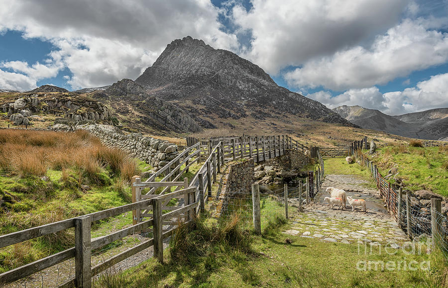 Tryfan and the Ogwen Valley Photograph by Adrian Evans