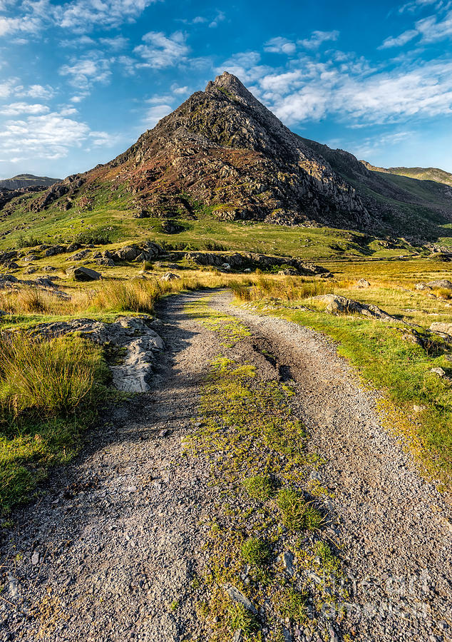 Tryfan Mountain Track  Photograph by Adrian Evans