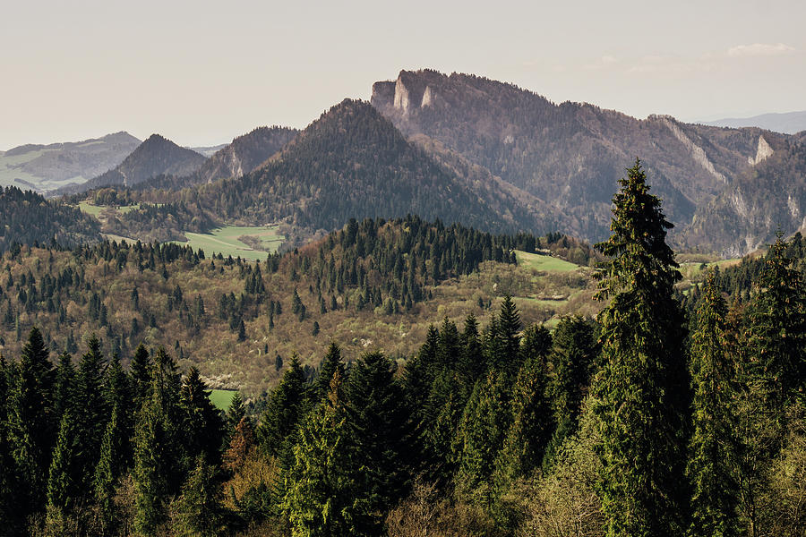 Trzy Korony Peak View Photograph by Pati Photography