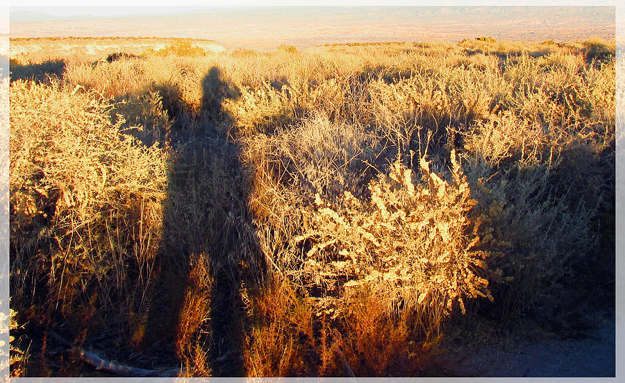 Tsankawi Shadows Photograph by Feather Redfox