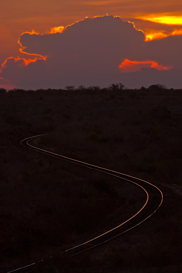 Nature Photograph - Tsavo railway by Paco Feria