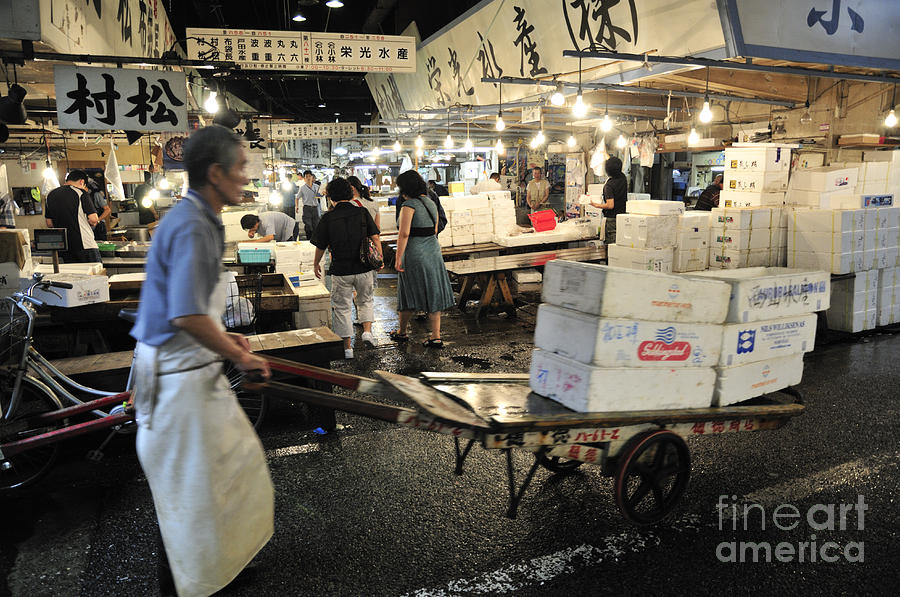 Fish Photograph - Tsukiji Fish Market by Andy Smy