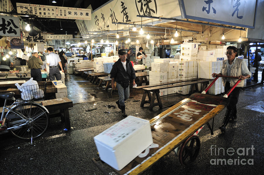 Fish Photograph - Tsukiji Market at Work by Andy Smy