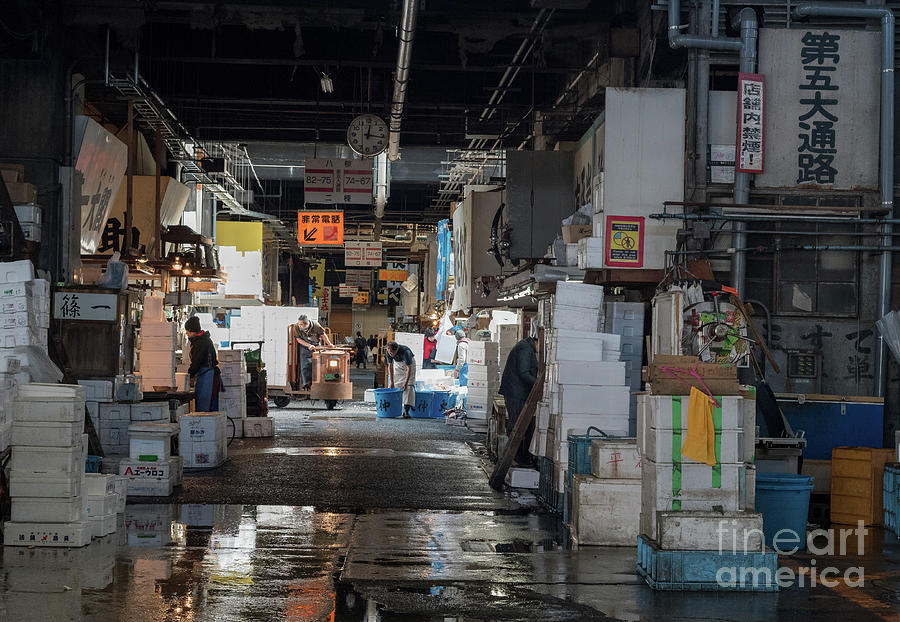 Tsukiji Shijo, Tokyo Fish Market, Japan 4 Photograph by Perry Rodriguez