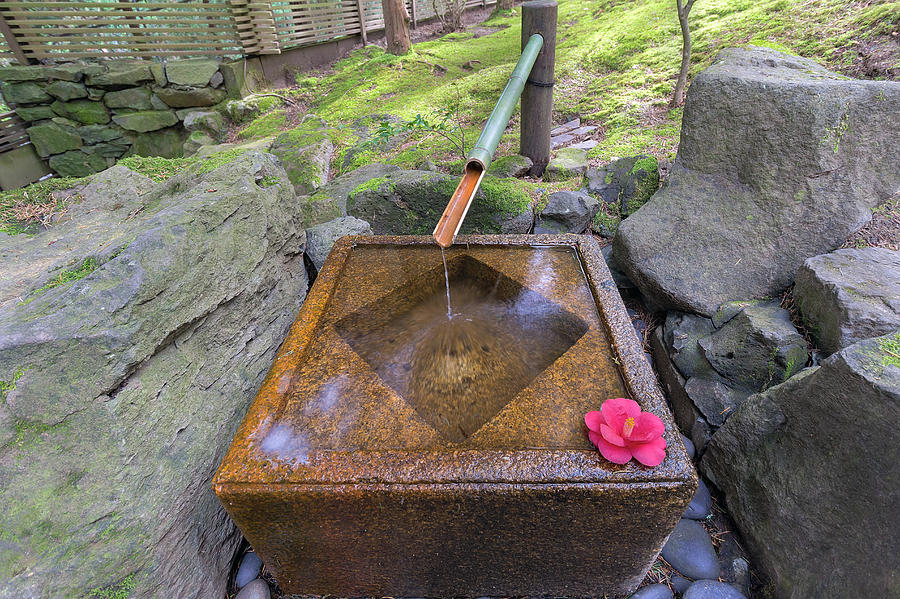 Tsukubai Water Fountain in Japanese Garden Photograph by Jit Lim