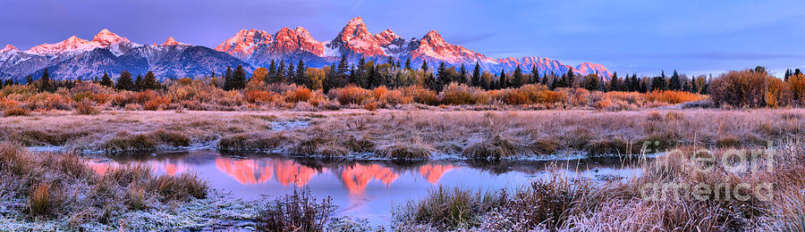 Tton Reflections Among The Frosted Grass Photograph by Adam Jewell