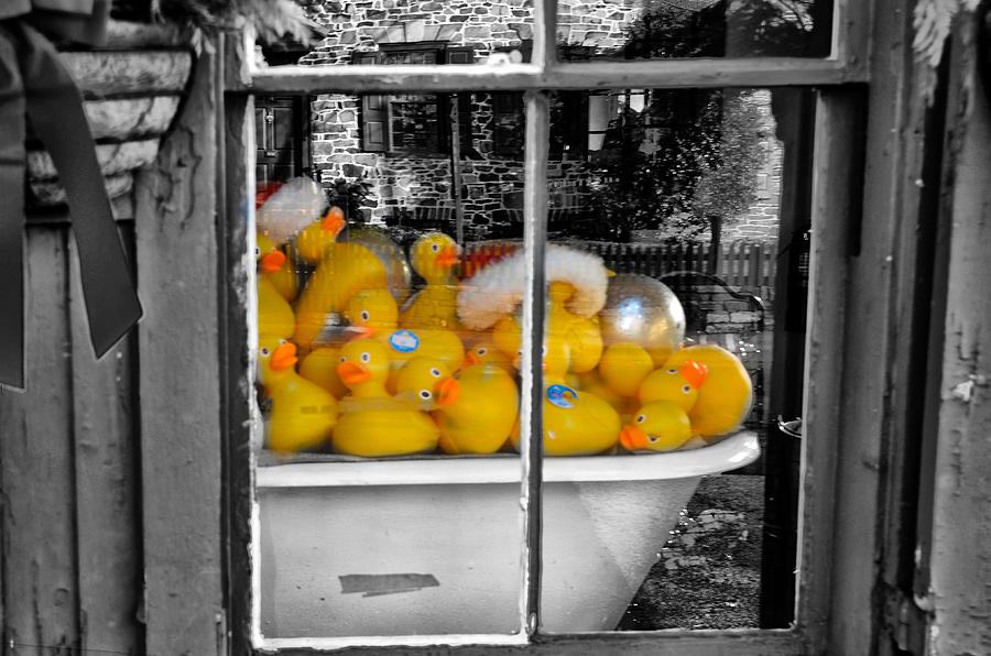 Tub Full of Rubber Duckies Photograph by Bill Cannon