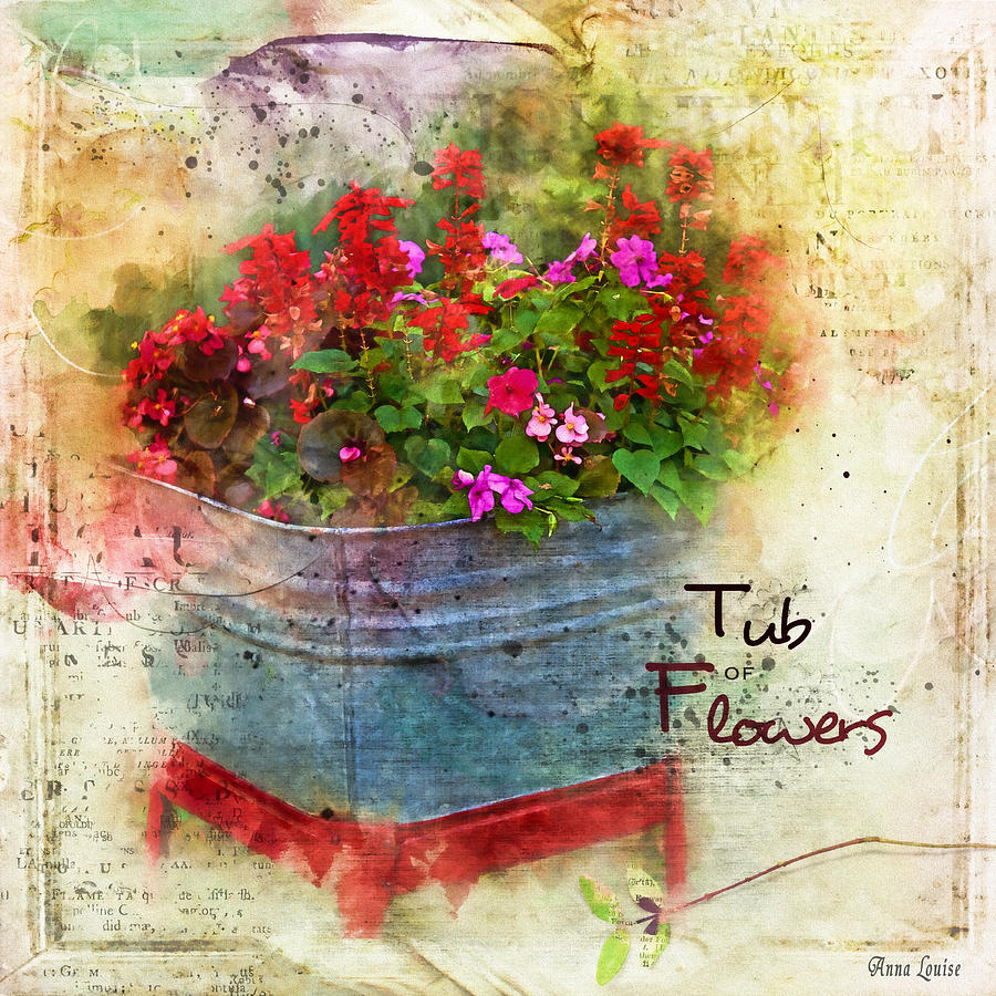 Tub of Flowers Photograph by Anna Louise