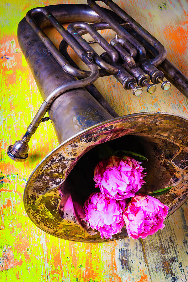 Tuba And Peonies Photograph by Garry Gay