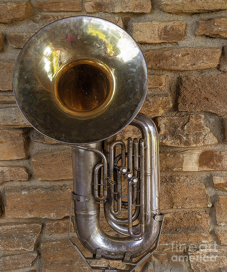 Tuba Photograph by Cathy Donohoue