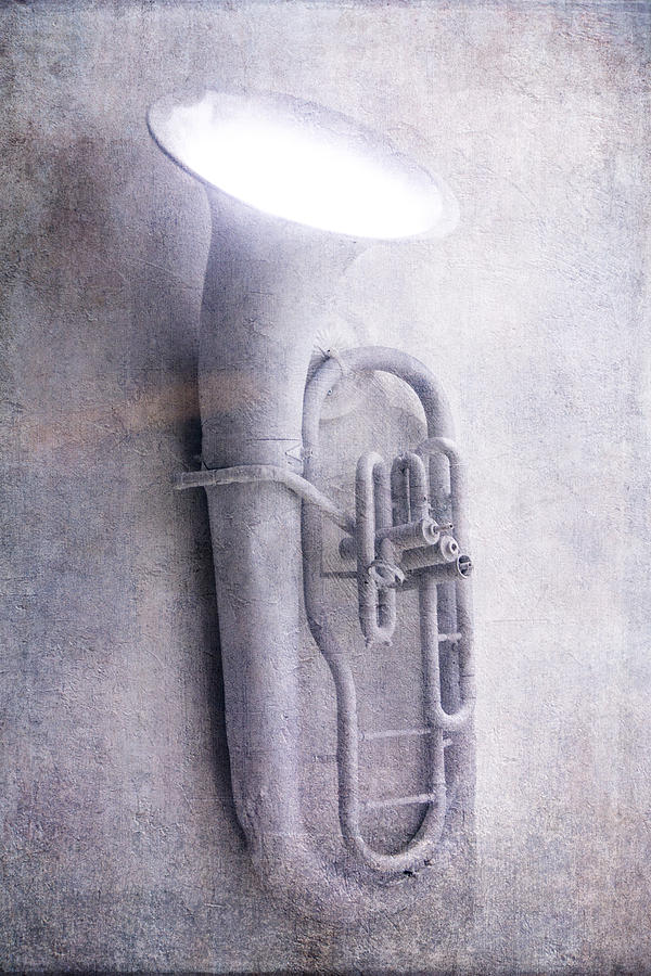 Tuba light Photograph by Garry Gay