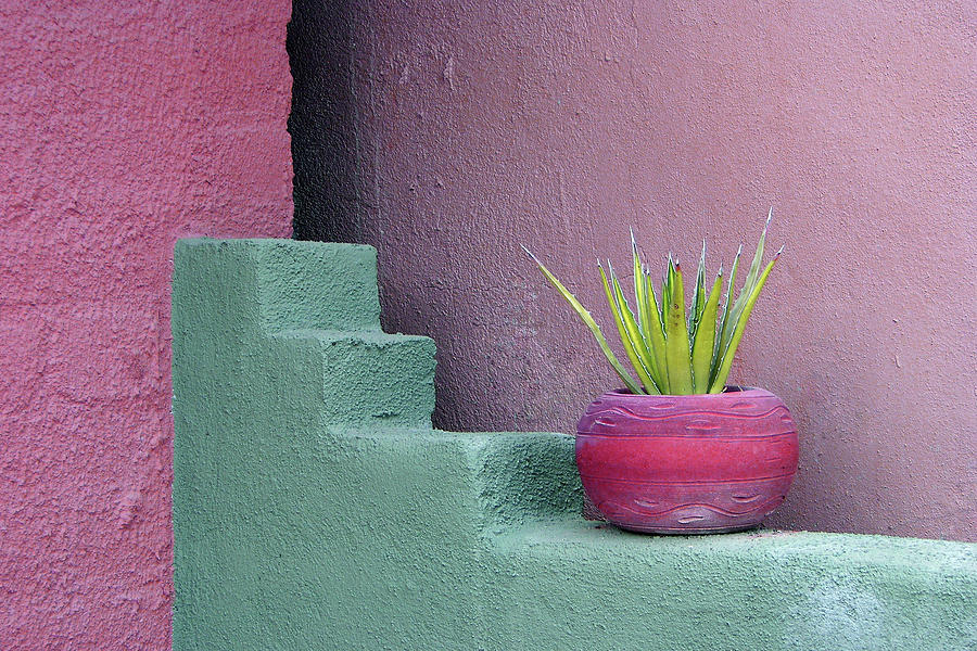Tubac Pot and Cactus Photograph by Jerry Griffin