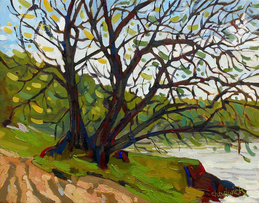 Tubbs Tree Painting by Phil Chadwick