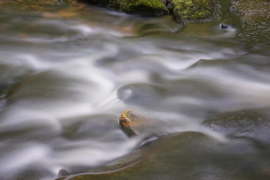 Tucker Falls Stream Photograph by Tom Singleton