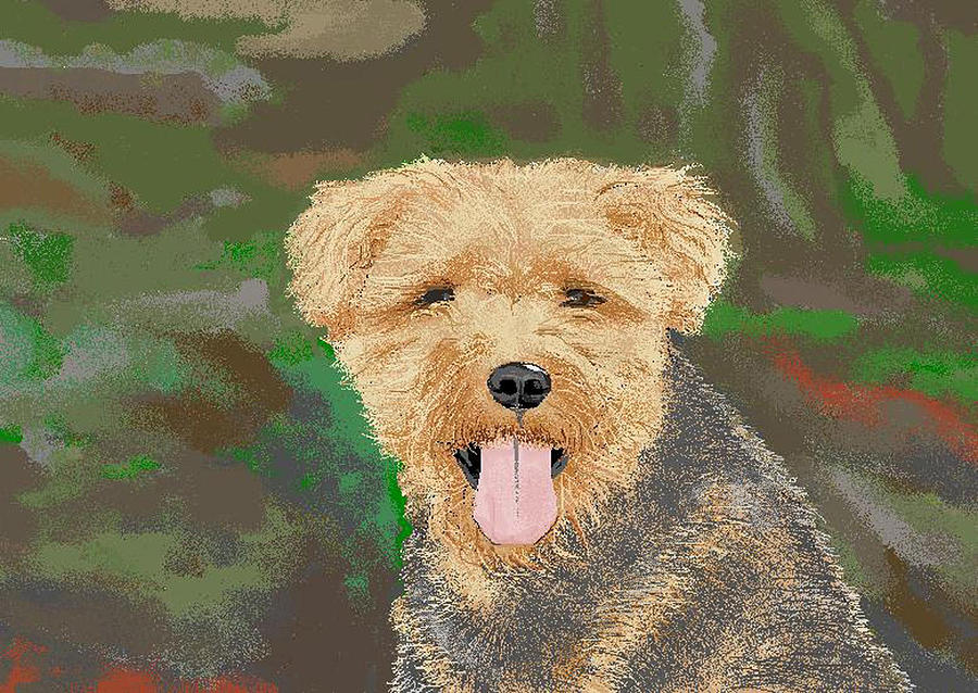 Dog Digital Art - Tucker the Welsh Terror by Carole Boyd