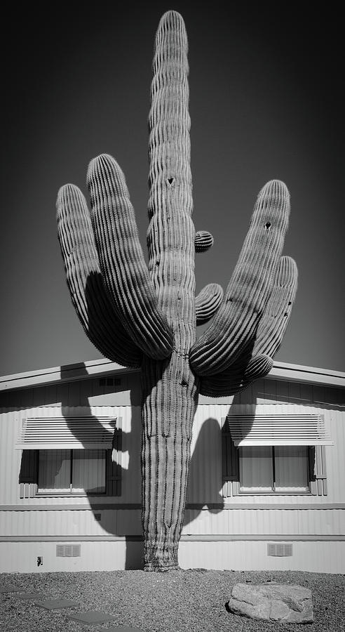 Tucson No. 1 Photograph by Al White