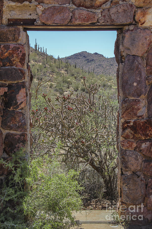 Tucson Desert Doorway Photograph by Jemmy Archer