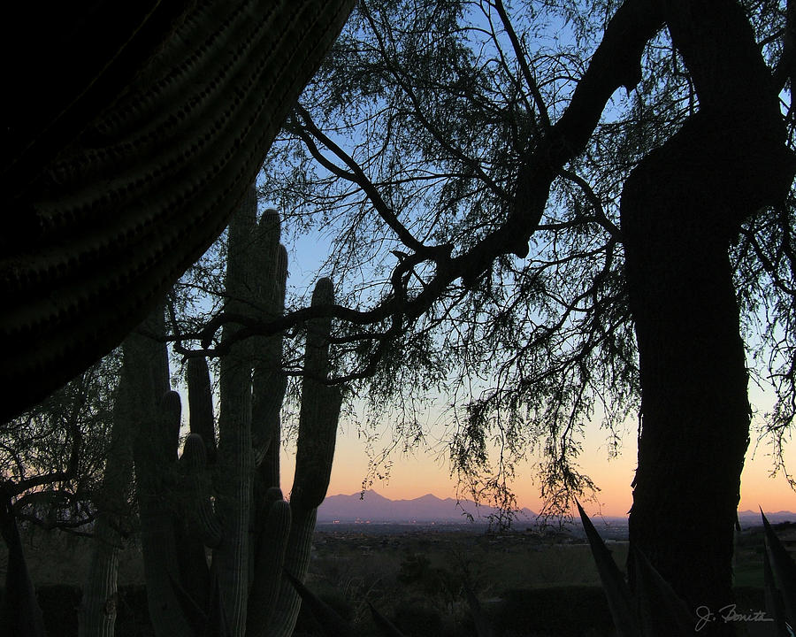 Tucson Evening Photograph by Joe Bonita