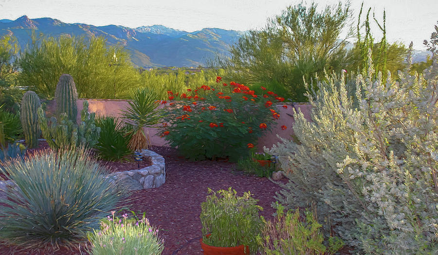 Tucson Garden Digital Painting by Randy Herring Tucson Garden Digital Painting by Randy Herring