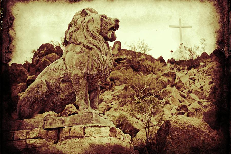 Tucson Lion Photograph by Alice Gipson
