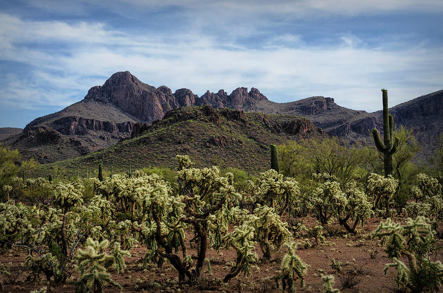 Tucson Mountains  Photograph by Saija Lehtonen