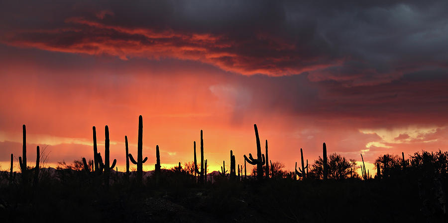 Tucson Sunset with Rain Photograph by Jean Clark