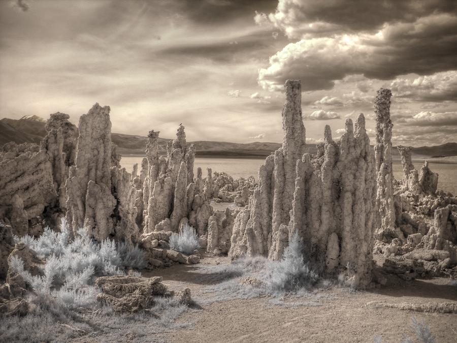 Tufa Mono Lake California infrared surreal sepia Photograph by Jane Linders