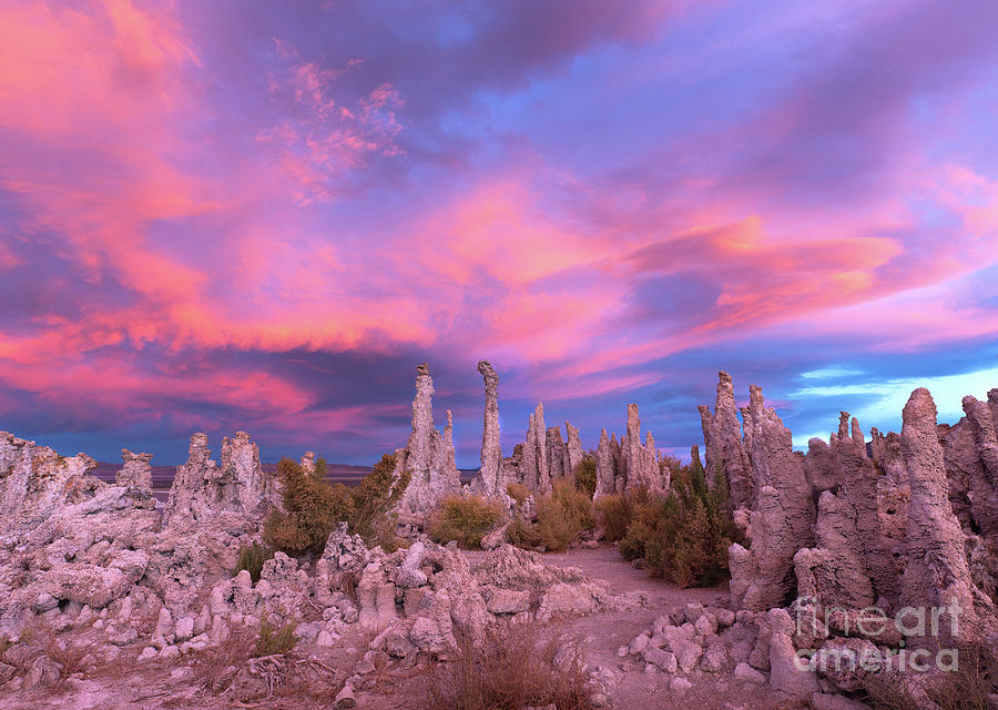 Tufa Sunset Photograph by Mimi Ditchie