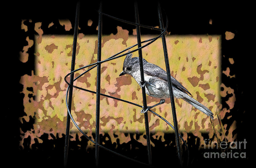 Titmouse Photograph - Tufted on the Trellis by Karin Everhart