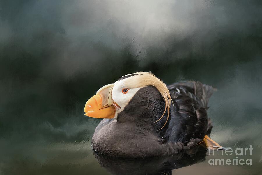 Wildlife Photograph - Tufted Puffin by Eva Lechner