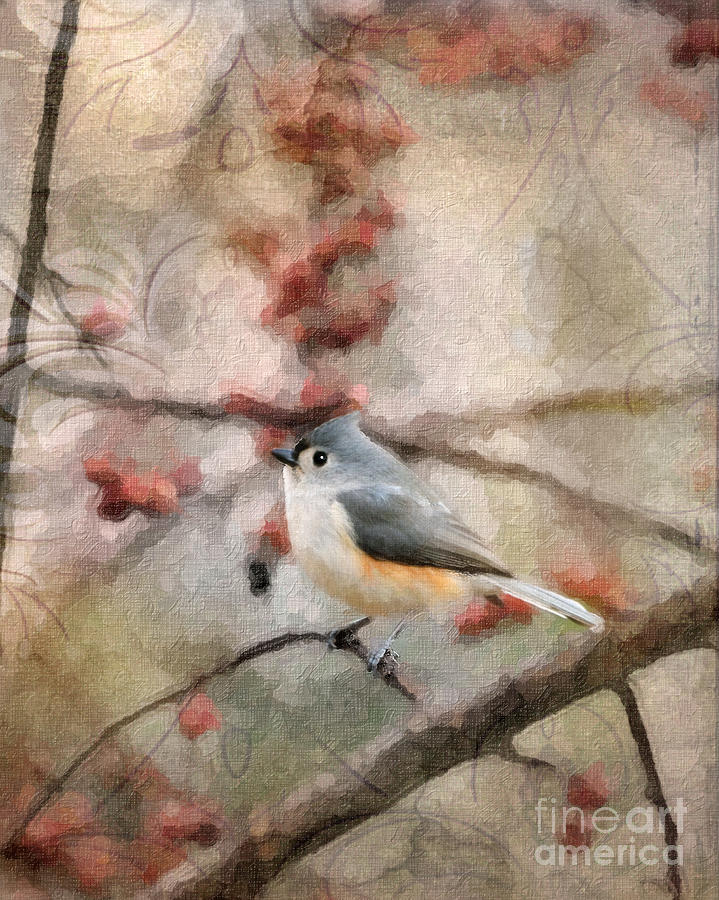 Tufted Titmouse 2 Photograph by Betty LaRue