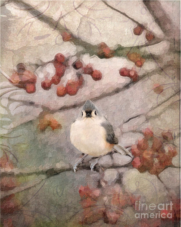 Tufted Titmouse Photograph by Betty LaRue