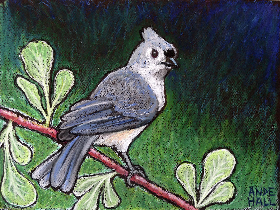 Tufted Titmouse Elegance Painting by Ande Hall