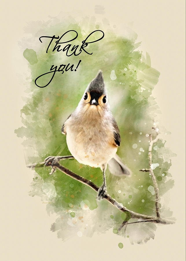 Tufted Titmouse Watercolor Thank You Card Mixed Media by Christina Rollo