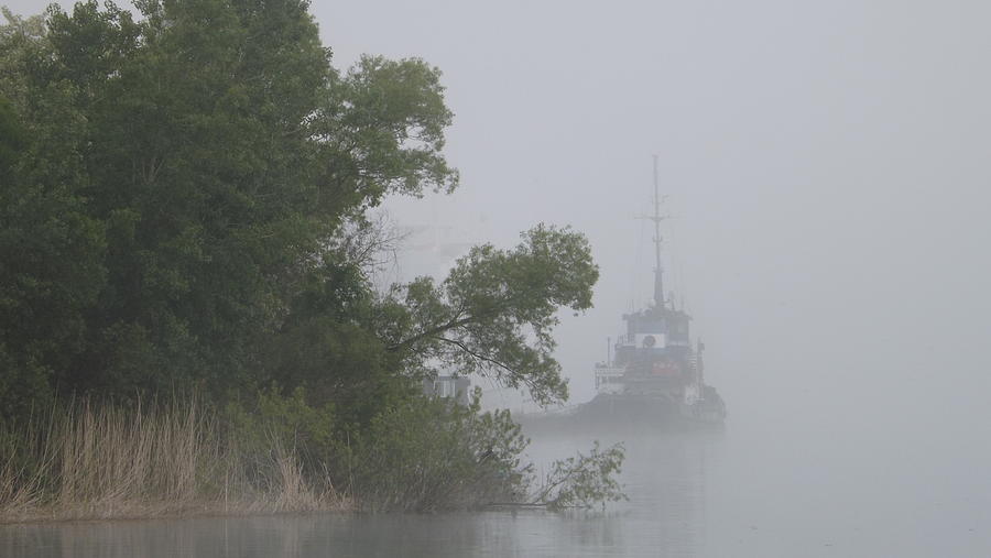 Boat Photograph - Tug In The Fog by Dennis Pintoski