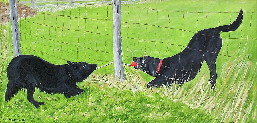 Belgian Shepherd Puppy Painting - Tug-O-War by Barb Pennypacker