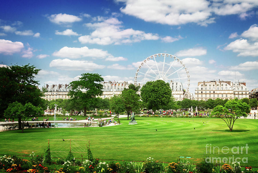 Tuileries garden of Paris  Photograph by Anastasy Yarmolovich