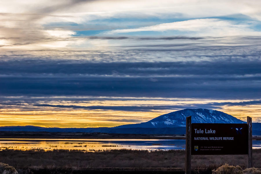 Tule Lake National Wildlife Refuge Photograph by Marnie Patchett