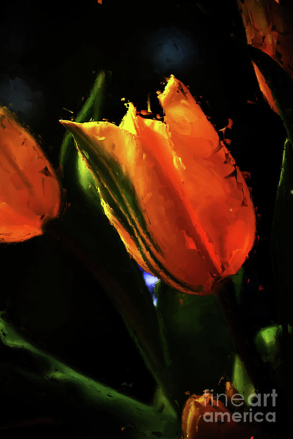 Tulip 00321s Painting by Gull G