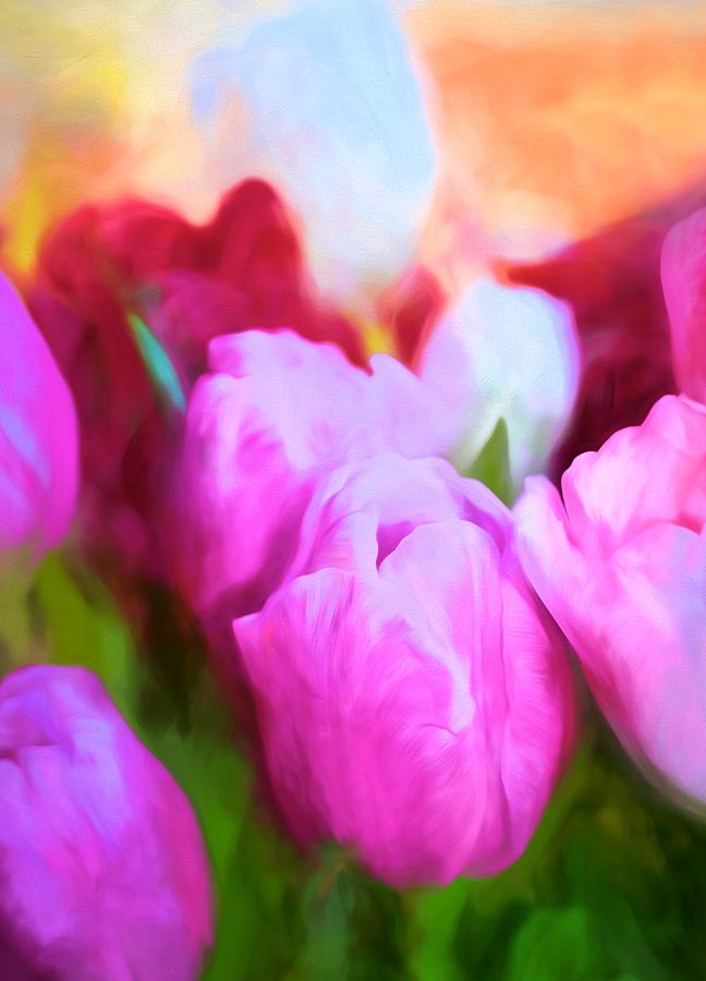 Tulip 58 Photograph by Pamela Cooper