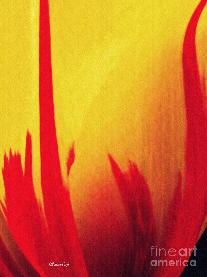 Tulip Abstract 1 Photograph by Sarah Loft
