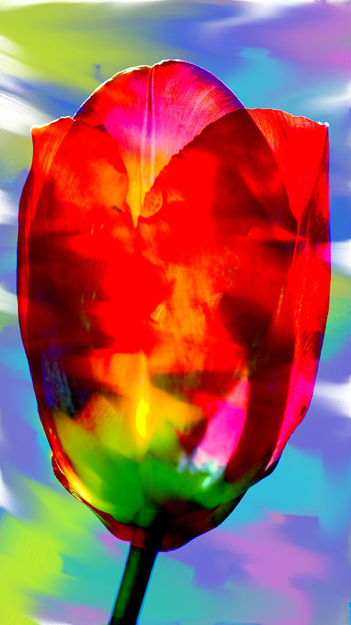 Tulip - Abstract Colors Photograph by Marie Jamieson
