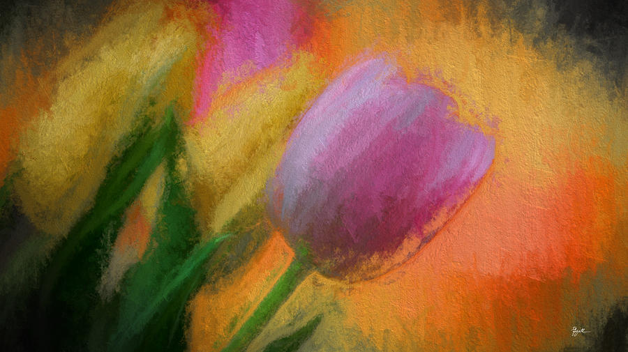 Tulip Abstraction Photograph by TK Goforth