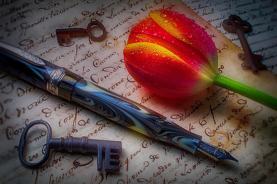 Tulip And Fountain Pen Photograph by Garry Gay