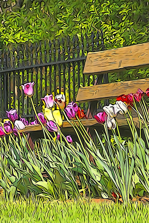 Tulip Bench Photograph by Dennis Cox