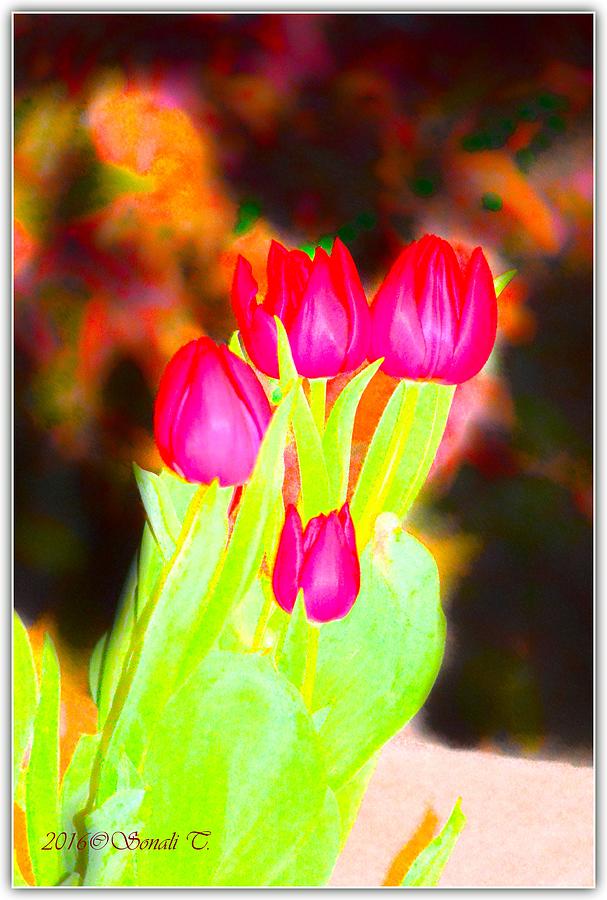 Tulip Bloom Digital Art by Sonali Gangane